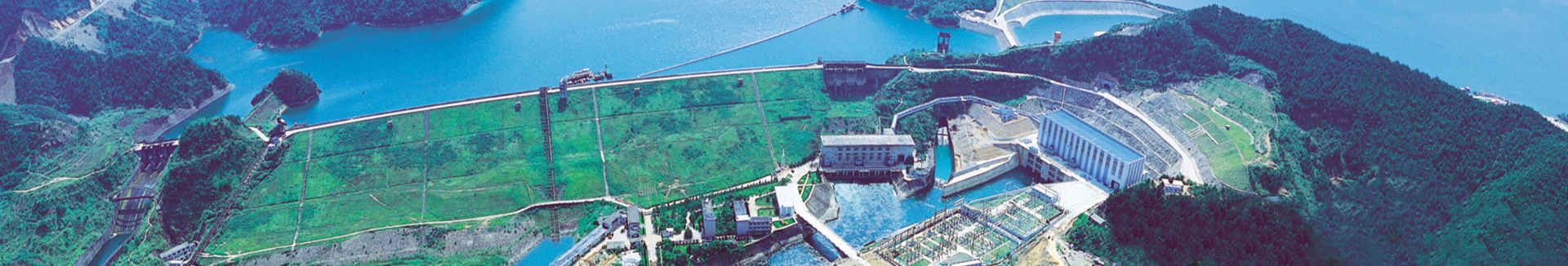 国内市场